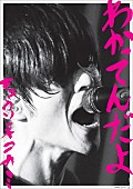 キュウソネコカミ「」6枚目/7