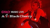Acid Black Cherry「」3枚目/6
