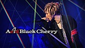Acid Black Cherry「」4枚目/6