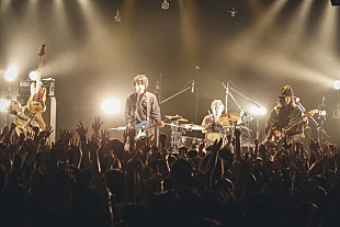 「LAMP IN TERREN、恵比寿リキッドワンマンレポ到着「悔しかった気持ちも大きい」」