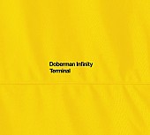 DOBERMAN INFINITY「『TERMINAL』初回限定盤」2枚目/3