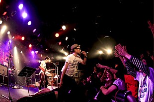 「ハルメンズが復活ライブを開催、ニューウェイブの大物が多数集結」