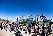 テレヴィジョン「Desert Daze 2016 」12枚目/67