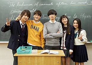 「川上洋平（[Alexandros]）、映画『きょうのキラ君』に英語教師役として友情出演」