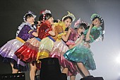 ももいろクローバーZ「ももクロ 幕張メッセを“常夏”に！ 述べ60,682人動員のXmasライブ」1枚目/18