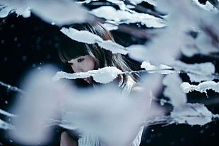 「Aimer、来年2月リリースの新曲「凍えそうな季節から」は倉科カナ主演ドラマのOPテーマ」
