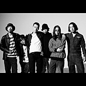 Suchmos「Suchmos/パスピエ/夜の本気ダンス出演【THE KINGS PLACE LIVE Vol.13】が3月開催」1枚目/3