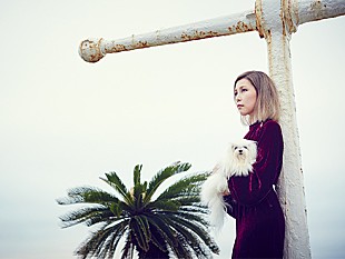 「シンガーソングライターsebuhiroko　5人全員鍵盤、乱打乱舞のデスマッチ東阪ワンマンライブに、ドラマーBOBOのゲスト参戦が決定」