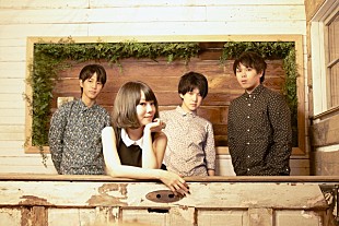 「ポルカドットスティングレイ、新作ミニアルバム『大正義』を4月リリース」