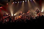 ｂｒａｉｎｃｈｉｌｄ’ｓ「brainchild’s、全国ツアー完売につき追加公演決定」1枚目/1