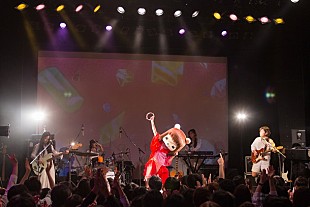 「クマのビジュアルで話題の女性シンガー コレサワがメジャーへ… 若者を惹きつける多彩な魅力とは」