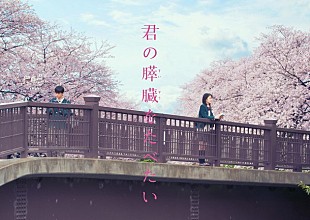 「浜辺美波＆北村匠海（DISH//）『君の膵臓をたべたい』実写映画のW主演に！ 北川景子＆小栗旬も出演」