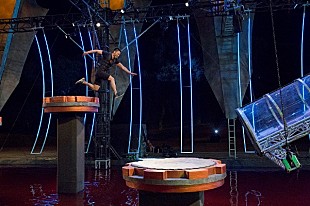 「『アルティメット・ビーストマスター』、挑戦者たちが優勝賞金よりも“欲しいモノ”とは?」