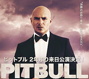 「ピットブル2年ぶりの来日公演、武道館含む東阪で開催」