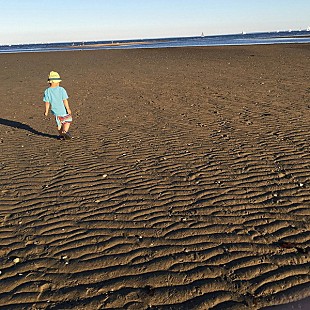 「【深ヨミ】小沢健二、19年ぶりSG『流動体について』売上げ動向」