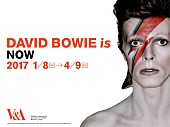 デヴィッド・ボウイ「大回顧展【DAVID BOWIE is】ホワイトデー企画スタート！ 当日3月14日は来場者全員プレゼントも」1枚目/3