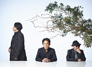 「SING LIKE TALKING、30周年目前のプレミアムライブ開催決定」