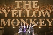 THE YELLOW MONKEY「THE YELLOW MONKEY、17年ぶり東京ドーム公演決定＆5月にベストAL発売」1枚目/1