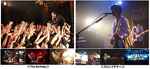 「The Birthday×ストレイテナー 初のツーマンでファン熱狂！“ストレイテナー”イントネーション問題勃発」