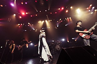 「Do As Infinity 初の南米ツアー開催！ メキシコ/アルゼンチン/ブラジル/チリの計4か国」