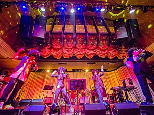 「「花見はいいけどゴミは持って帰れ」花見スポット・代々木公園にアフロ集団“コレガゼンリョクズ”乱入」