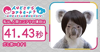 コアラモード 金沢動物園 人間とコアラの境界線を探るpv公開 Daily News Billboard Japan