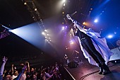 Do As Infinity「Do As Infinity デビュー18年目で初の台湾ワンマンライブ開催決定」1枚目/4