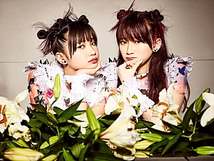 「LADYBABY 大森靖子の提供楽曲「LADY BABY BLUE」オフショット映像も使用のビデオ公開」
