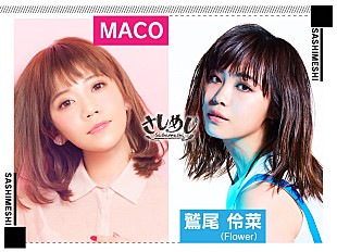 「インスタで話題の“わしまこ”ことMACO×鷲尾伶菜が『さしめし』でメディア初共演」