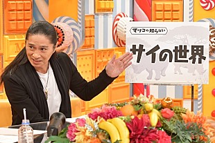 「SAM、『マツコの知らない世界』で“サイの魅力”を語るもマツコの興味は“TRFの魅力”」