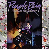 プリンス「プリンス『パープル・レイン』デラックス盤＆拡張盤が6/23世界同時発売　未発表曲の配信もスタート」1枚目/3