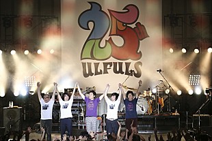 「ウルフルズ、デビュー25周年記念フリーライブに3,000人が熱狂」