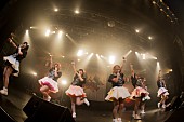 ＦＥＳ☆ＴＩＶＥ「」24枚目/24