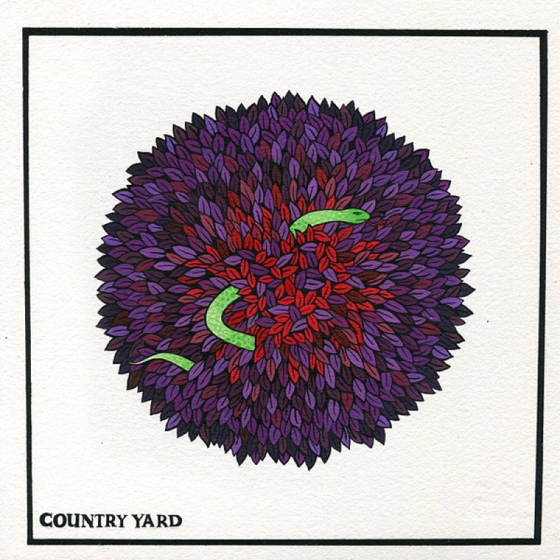 ＣＯＵＮＴＲＹ　ＹＡＲＤ「」3枚目/3