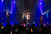 東京パフォーマンスドール「」34枚目/43