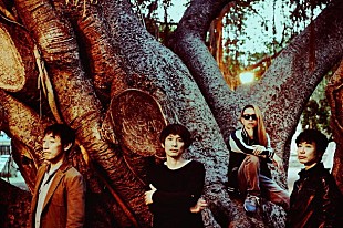 「スピッツ シングル・コレクション2作品のリマスター版がAmazon「Prime Music」限定でストリーミング配信開始」