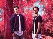 ゼッド「“ZEDD＆フレンズ”シリーズ第2弾！　1Dリアム・ペインとの新曲が配信開始」1枚目/2