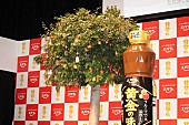 「相葉雅紀“食レポ苦手”を告白？　「プレッシャ－を与えないで…」」1枚目/1