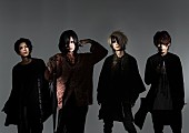 Ｐｌａｓｔｉｃ　Ｔｒｅｅ「Plastic Treeトリビュート作の全曲試聴トレーラー公開！ 全12アーティストからコメントも」1枚目/2