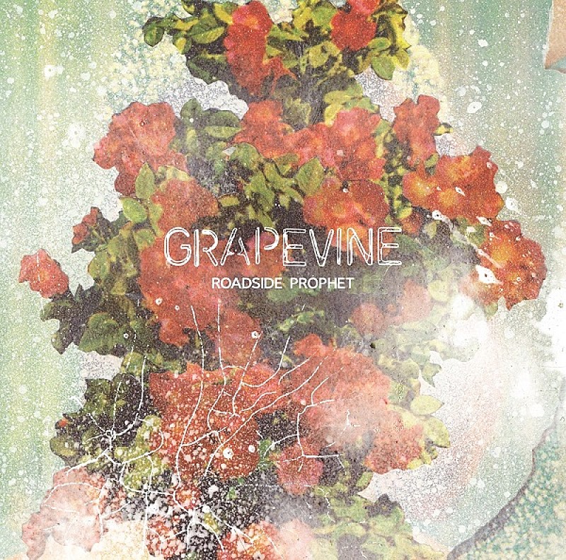 GRAPEVINE、新AL発売記念10本厳選のMV特集をLINE LIVEで配信 | Daily News | Billboard JAPAN