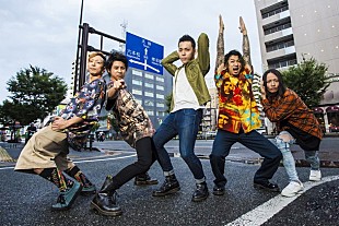 「彼女 IN THE DISPLAY、新曲「[1959]」が『CDTV』10月度エンディングテーマに」