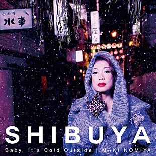 「野宮真貴、新作アルバムのアナログ盤が発売決定」