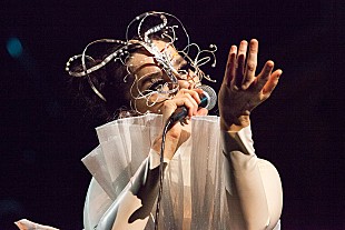 「ビョーク、デンマーク人監督から受けた嫌がらせを告白」