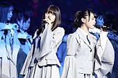 乃木坂46「」5枚目/11