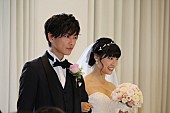 「佐藤健、結婚相手の必須条件は…　「家事をしっかりしてくれる人」」1枚目/1