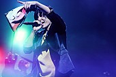 flumpool「flumpool、活動休止前最後の【flumpool 8th tour 2017 「Re:image」】で声が涸れても唄った想い」1枚目/14