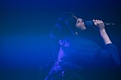 DAOKO「DAOKO、初の自主企画開催決定 “良い音楽と良いカルチャー”を発信」1枚目/3