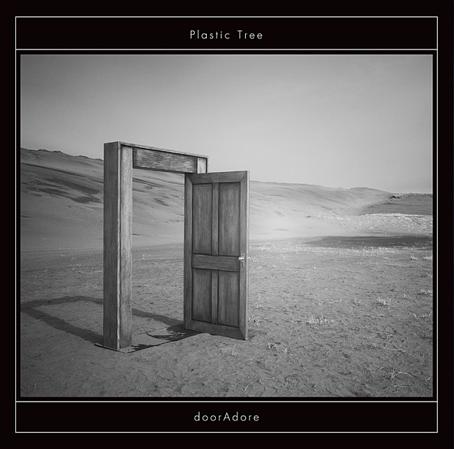 Ｐｌａｓｔｉｃ　Ｔｒｅｅ「」10枚目/10