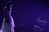 Aimer「」5枚目/11