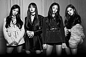 BLACKPINK「BLACKPINK 初のジャパンアリーナツアー開催！ 全国3か所6公演で66,000人動員」1枚目/1